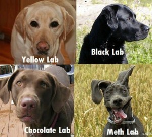 Meth Lab